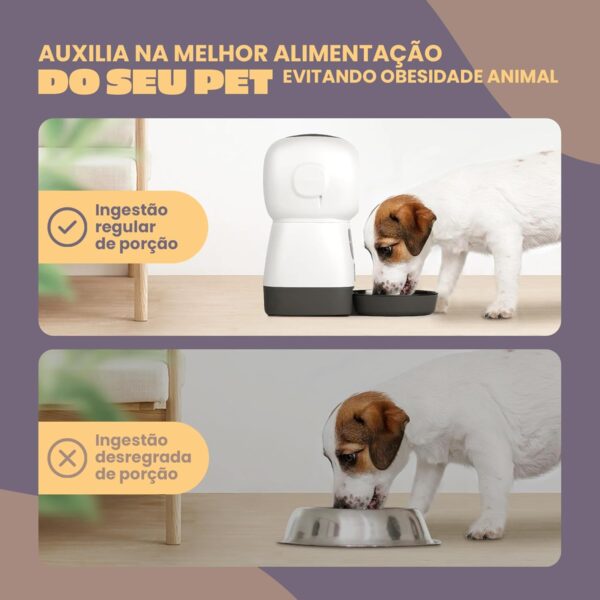 Alimentador Automático Smart Cães Gatos Pets Programável Animus | .br - Image 4